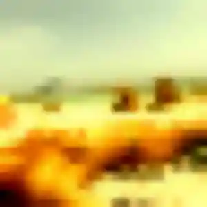 Satomi (39 ans) à Solliès-Pont attend un rencontre japonaise rapidement