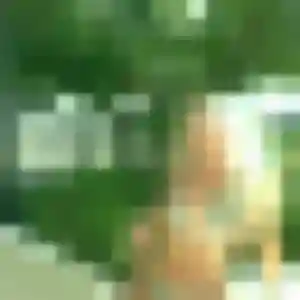 Rencontre Trinh, 23 ans à Solliès-Pont gratuitement