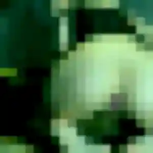 rencontre japonaise à Sorgues : photo de Khanh, 39 ans - inscription gratuite