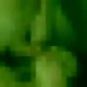 Photo exclusive de Sakura, 26 ans à Sotteville-lès-Rouen - rencontre coquine