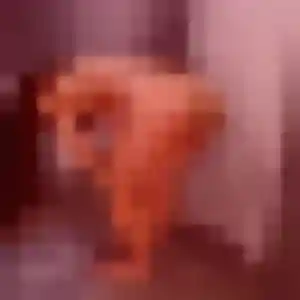 Paloma, 23 ans, connectée à Strasbourg pour un rencontre japonaise