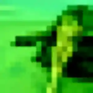 rencontre japonaise à Suresnes : photo de Chanida, 32 ans - sans engagement