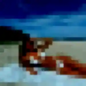 Découvre Trinh, 40 ans à Talant en t'inscrivant