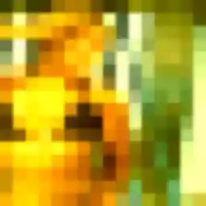 Rumi, fille de 34 ans cherche rencontre japonaise à Talence