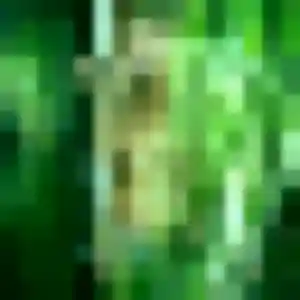 Bao, 42 ans, en ligne à Tarare pour un rencontre japonaise