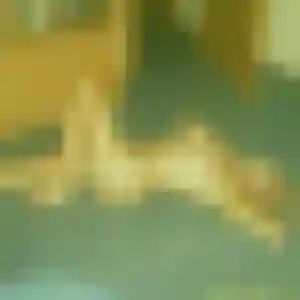 rencontre japonaise à Tarbes : photo de Tien, 35 ans - sans engagement