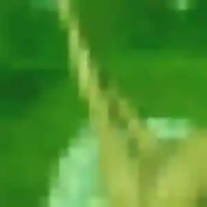 Photo perso de Da-In, 34 ans à Tassin-la-Demi-Lune - rencontre coquine