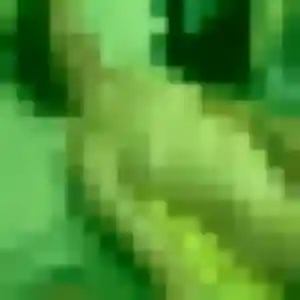 rencontre japonaise à Thiais : profil de Jia, 44 ans - accès libre