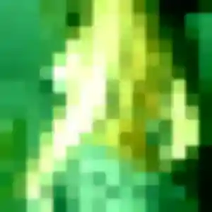 Profil de Li à Thonon-les-Bains (43 ans) - rencontre japonaise gratuit