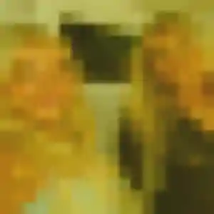 Narisa, 35 ans, disponible à Thonon-les-Bains pour un rencontre japonaise