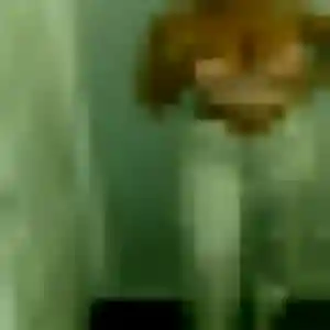 Contacte Channary, 29 ans à Thouars gratuitement