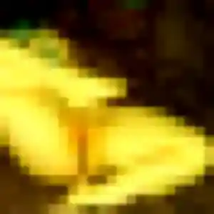 Nana, fille de 34 ans cherche rencontre japonaise à Tinqueux