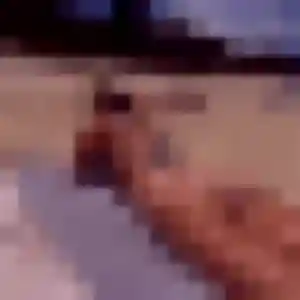 Risa, 43 ans, disponible à Toulon pour une rencontre coquine