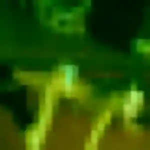 Zi, 31 ans, veut un rencontre japonaise à Toulon