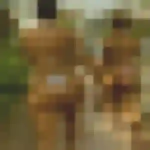 Rencontre Yan, 42 ans à Tournon-sur-Rhône en t'inscrivant