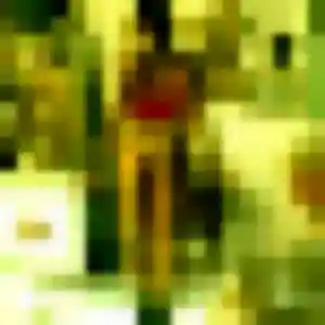 Profil de Fu à Trélazé (32 ans) - rencontre japonaise discret