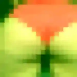 Profil de Chae-Yeon à Tulle (37 ans) - rencontre japonaise gratuit