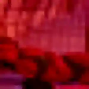 Siriporn de Tulle, 29 ans - rencontre japonaise sans lendemain