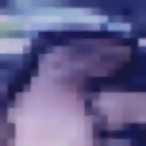 Gloria de Vaires-sur-Marne, 44 ans - rencontre japonaise sans prise de tête