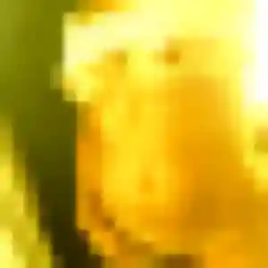 Ji-Soo de Val-de-Reuil, 41 ans - rencontre japonaise sans lendemain