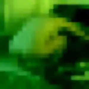 Thuy-Linh, 25 ans, cherche un rencontre japonaise à Val-de-Reuil