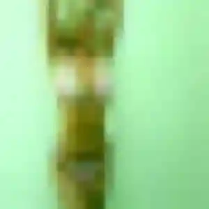 Vanna, 41 ans, en ligne à Valserhône pour un rencontre japonaise