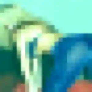 Photo sexy de Feng, 41 ans à Vannes - rencontre sans lendemain