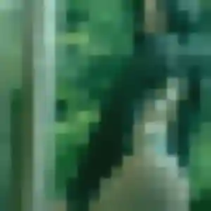 Belle An, 43 ans à Vaulx-en-Velin - découvrir son profil