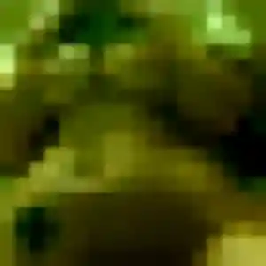 Jolie Malai, 29 ans à Vauréal - découvrir son profil