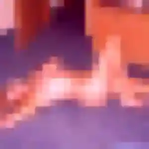 Yolanda, femme de 43 ans propose rencontre japonaise à Vaux-le-Pénil