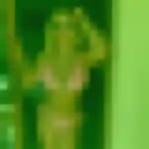 Contacte Truc, 22 ans à Vélizy-Villacoublay en privé