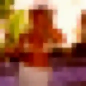 Lan, 42 ans, cherche un rencontre japonaise à Vertou