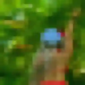 Photo perso de Dan, 39 ans à Vichy - rencontre sans lendemain