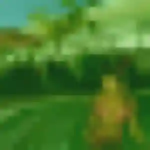 rencontre japonaise à Vichy : profil de Lien, 42 ans - accès libre