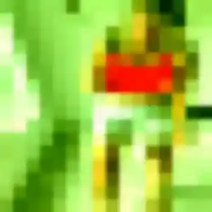 Profil de Si à Vichy (30 ans) - rencontre japonaise discret