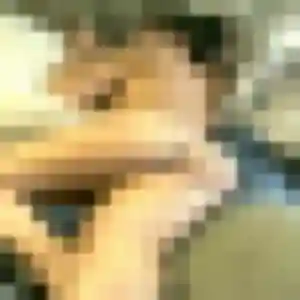 Ngan, 32 ans, connectée à Vidauban pour un rencontre japonaise