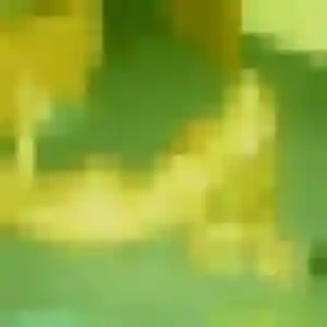 rencontre japonaise à Villebon-sur-Yvette : profil de Sayuri, 27 ans - inscription gratuite