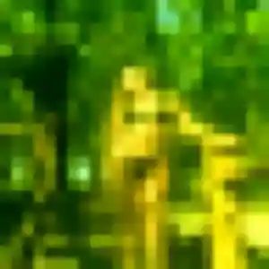 Ploy, 33 ans, cherche un rencontre japonaise à Villefranche-de-Rouergue