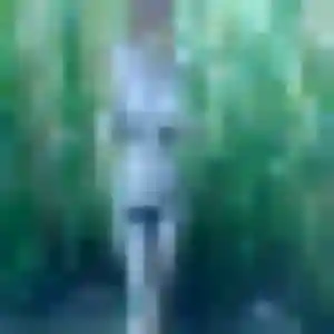 Hien, 33 ans, cherche un rencontre japonaise à Villeneuve-lès-Avignon