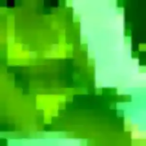 Belle Saori, 26 ans à Villeneuve-Loubet - découvrir son profil