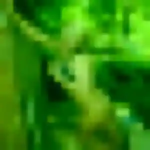 Eun-Seo de Villers-Cotterêts, 29 ans - rencontre japonaise sans prise de tête