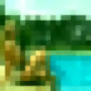 Vivian de Villers-lès-Nancy, 45 ans - rencontre japonaise discret