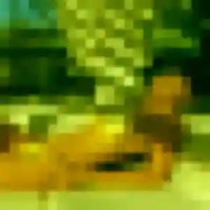 Jolie Pu, 44 ans à Villeurbanne - voir sa photo