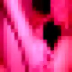 rencontre japonaise à Villiers-le-Bel : profil de Wassana, 25 ans - sans engagement