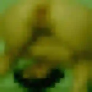 Profil de Oanh à Vire Normandie (33 ans) - rencontre japonaise discret