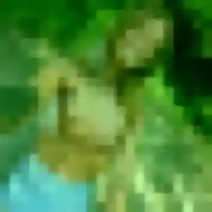 Hye-Won, fille de 30 ans cherche rencontre japonaise à Viry-Châtillon