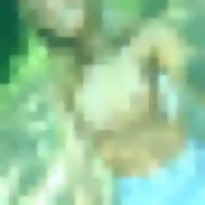 So-Yeon de Vitré, 41 ans - rencontre japonaise sans lendemain