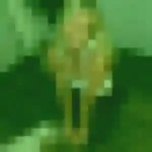 rencontre japonaise à Voiron : photo de Yan, 22 ans - sans engagement