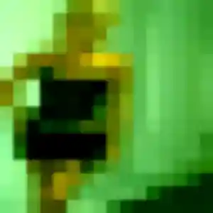 Découvre Kiyomi, 37 ans à Voisins-le-Bretonneux en privé