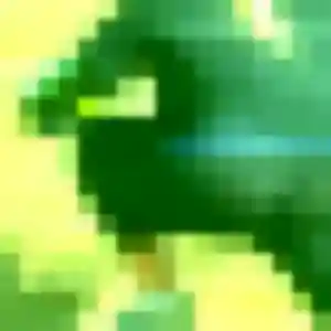 Découvre Kana, 37 ans à Wambrechies gratuitement